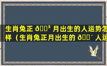 生肖兔正 🌳 月出生的人运势怎样（生肖兔正月出生的 🐴 人运势怎样呢）